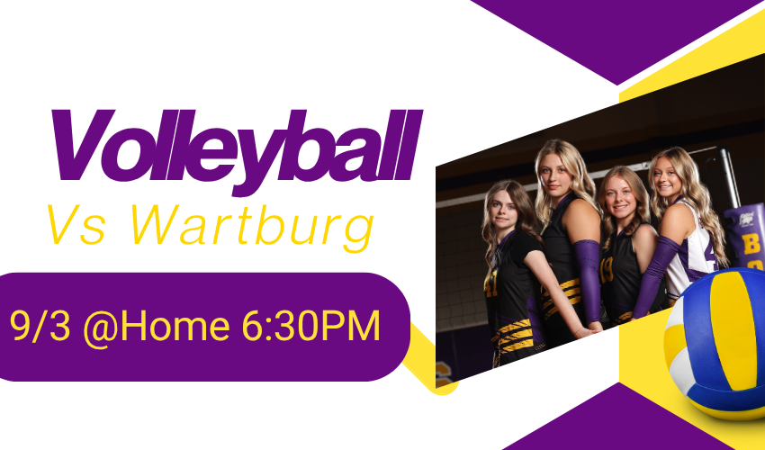 picture of volleyball seniors