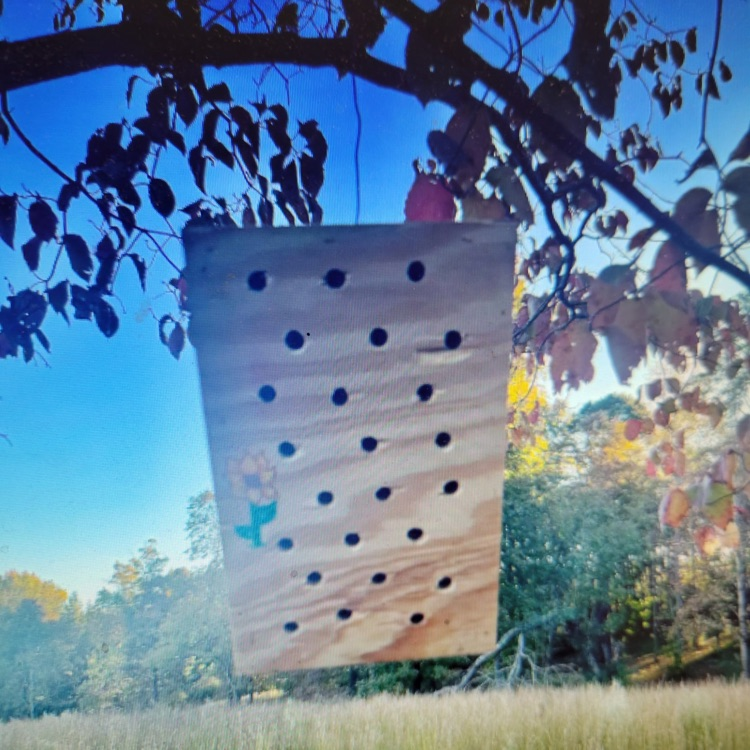 bee