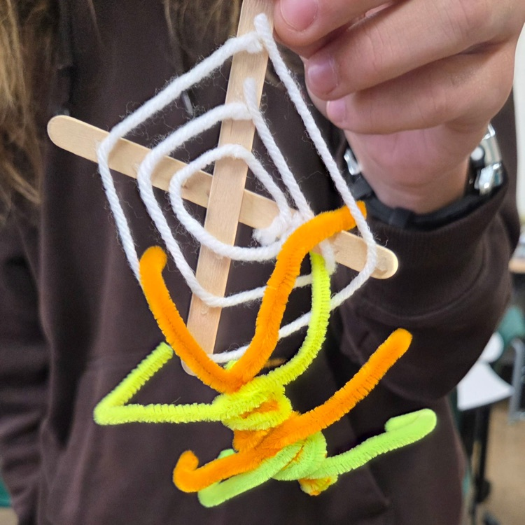 stem