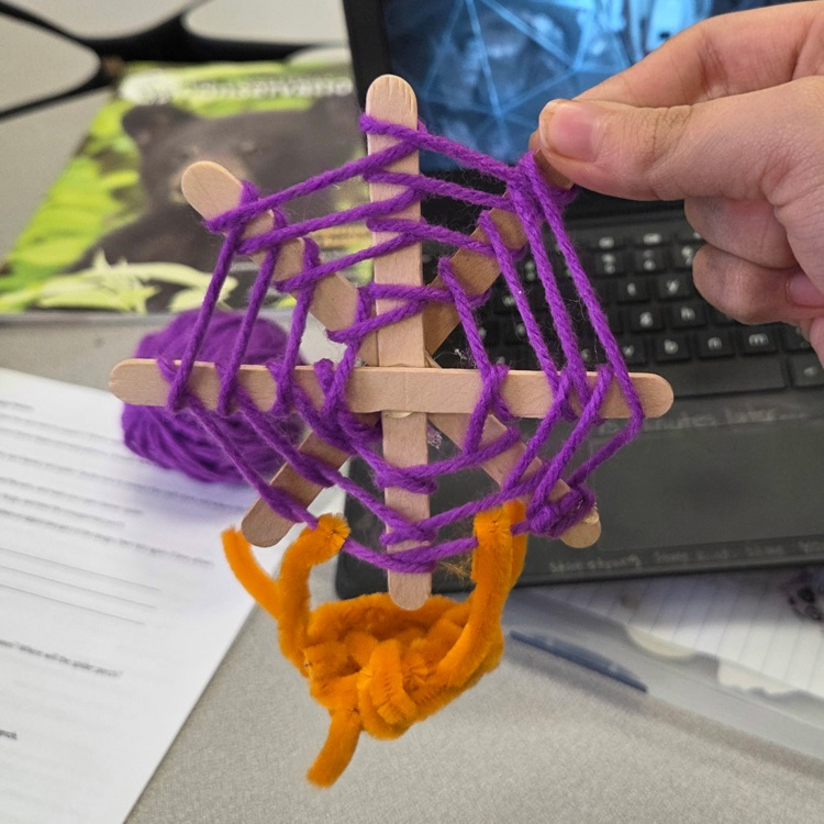stem