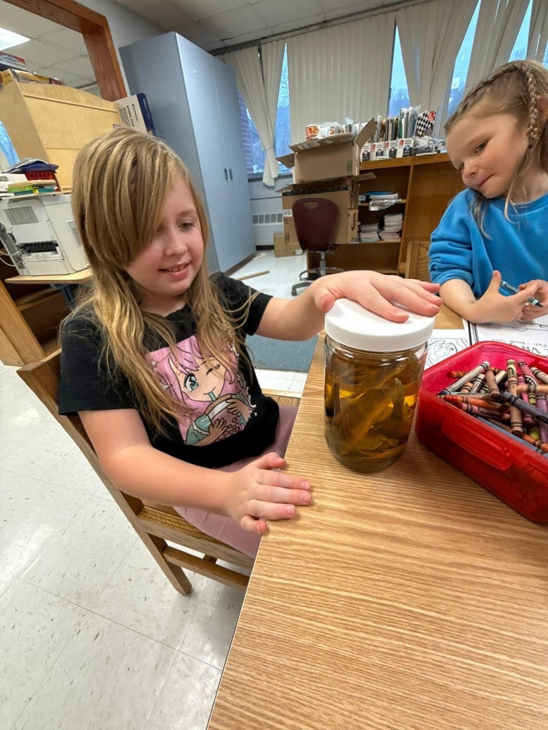 Linda Raines, partner in the Decota Consulting Company visited Walton SOAR students to discuss environmental engineering, what the job entails, and what it takes to become an engineer.