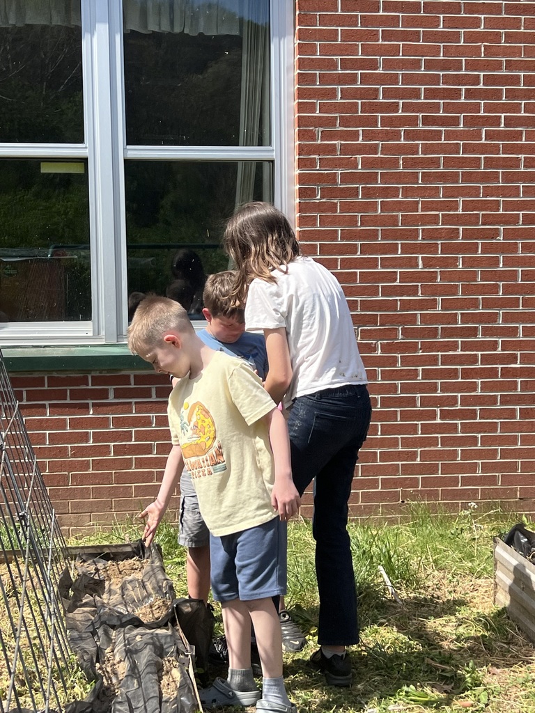 students planting