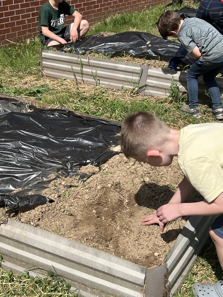 students touching the dirt in the garden beds