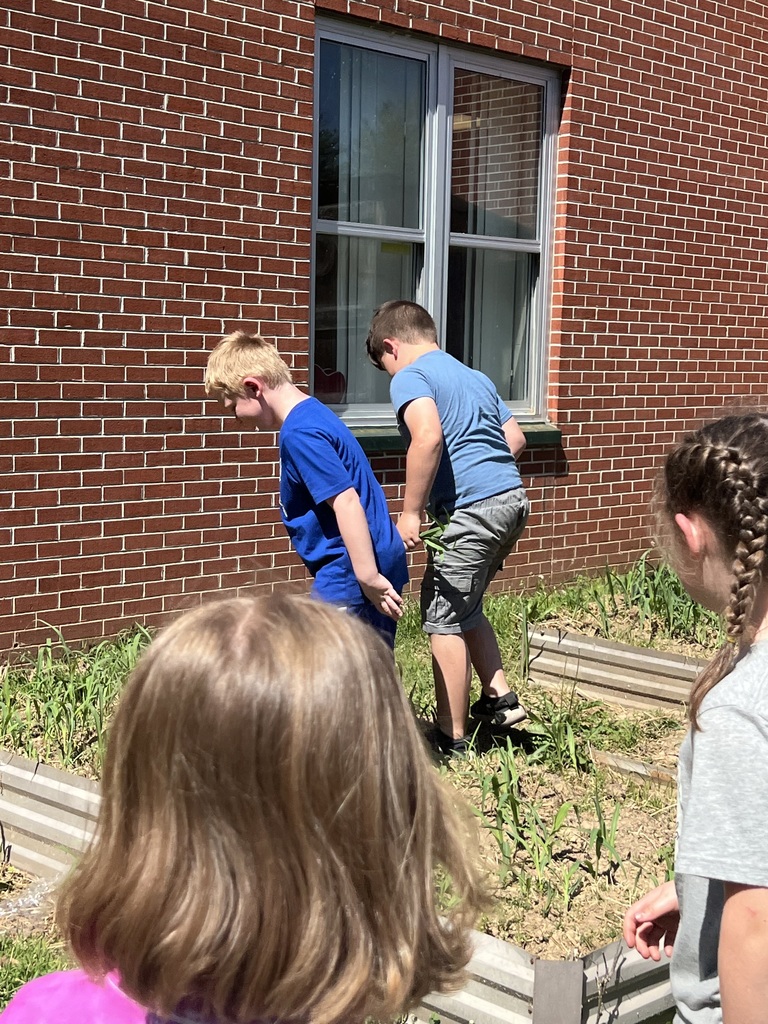 students walking around the garden bed