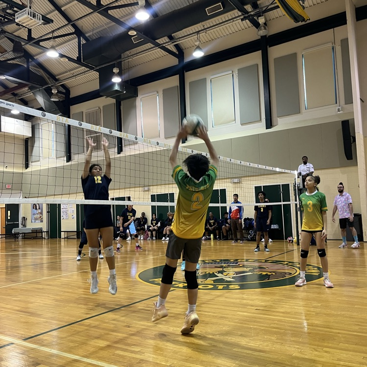volleyball