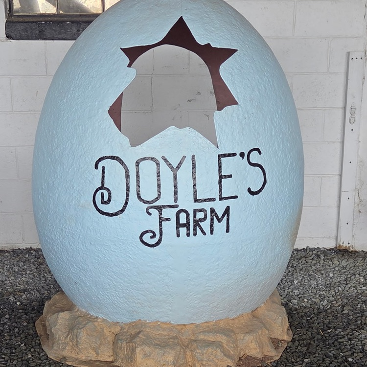 Doyle's