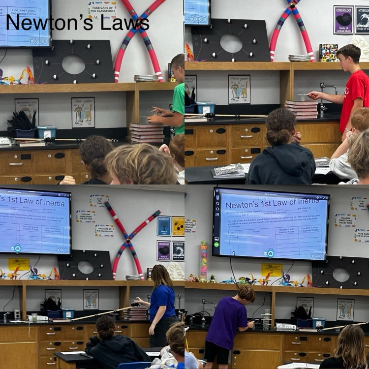 newtons law demo