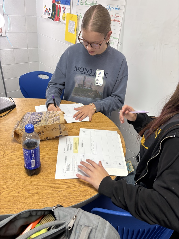 When students analyze real examples, rubric criteria stops being abstract and starts making sense. That’s how we build confident writers. 