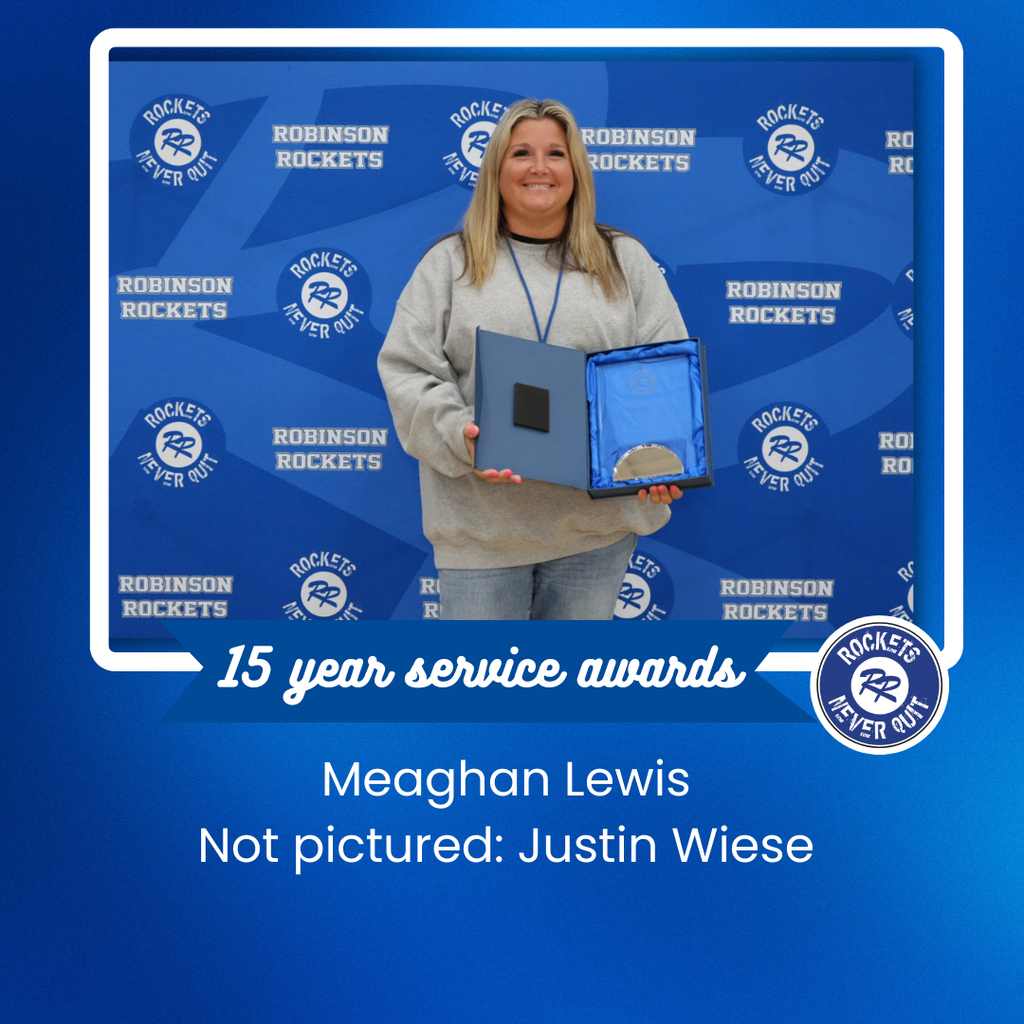 15 year service award