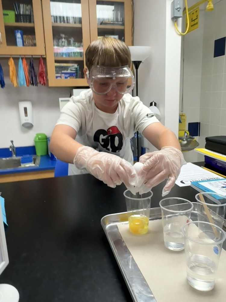 Lab Safety 