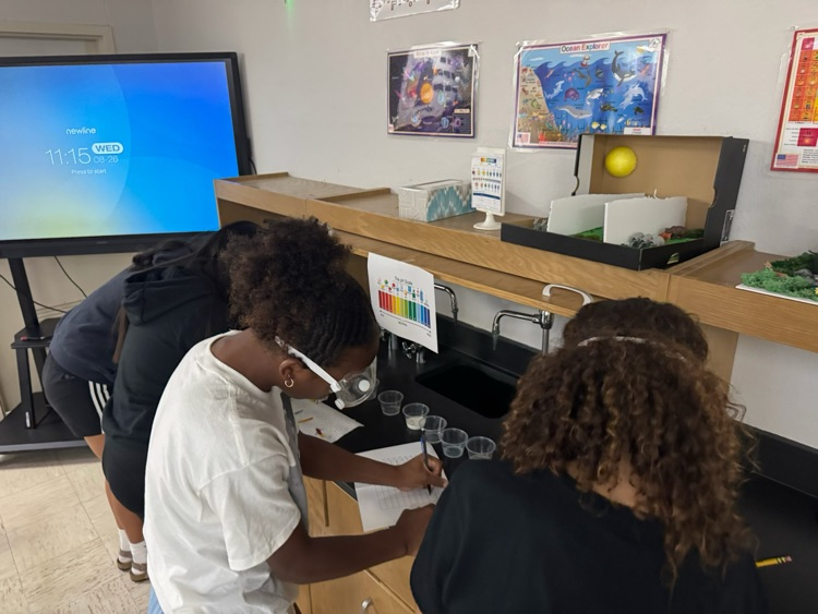 lab