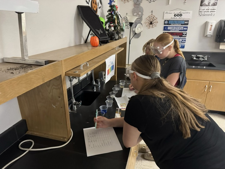 lab