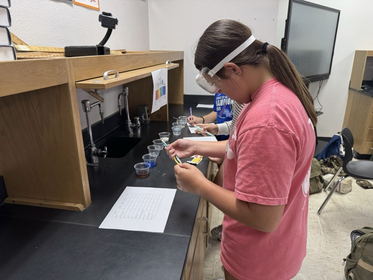 lab