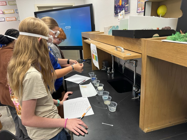 lab