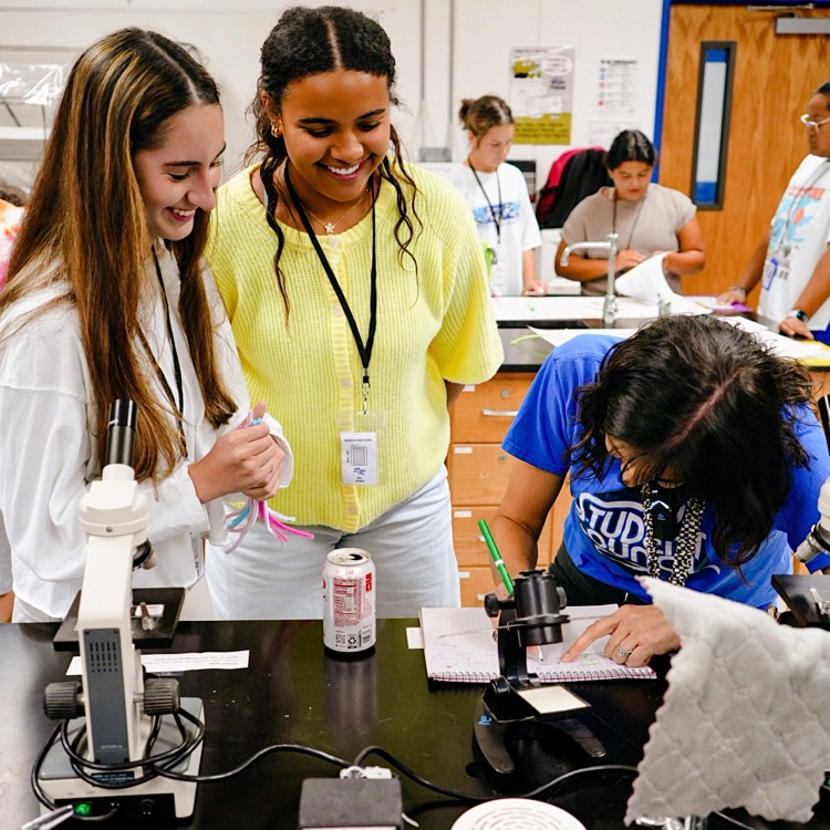 Folding proteins