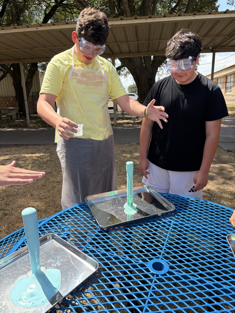 lab