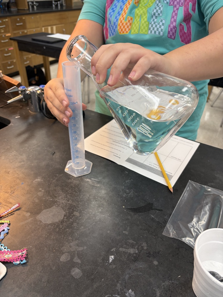 lab