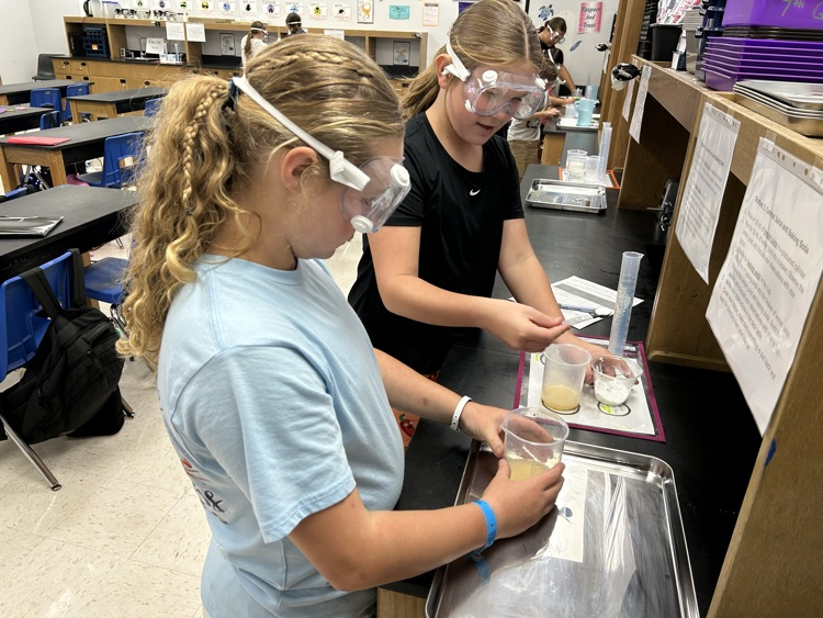 lab