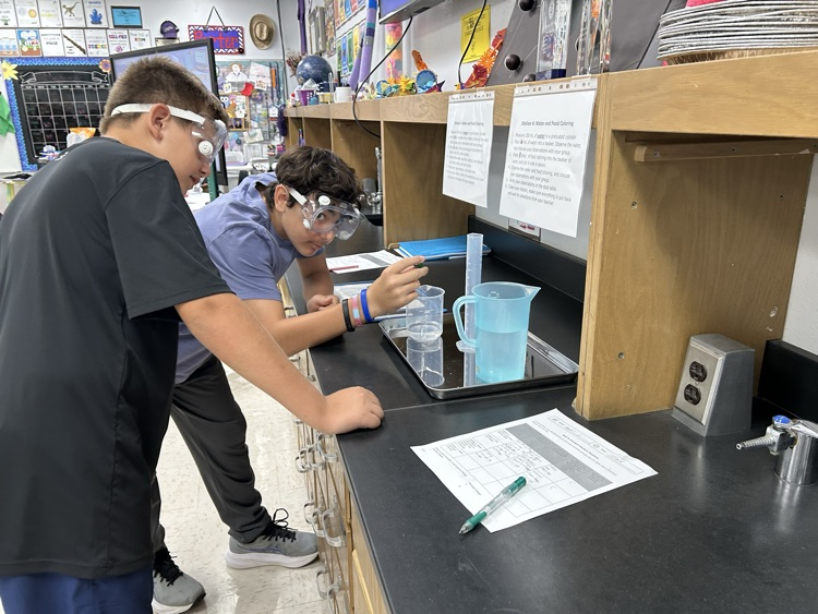 lab