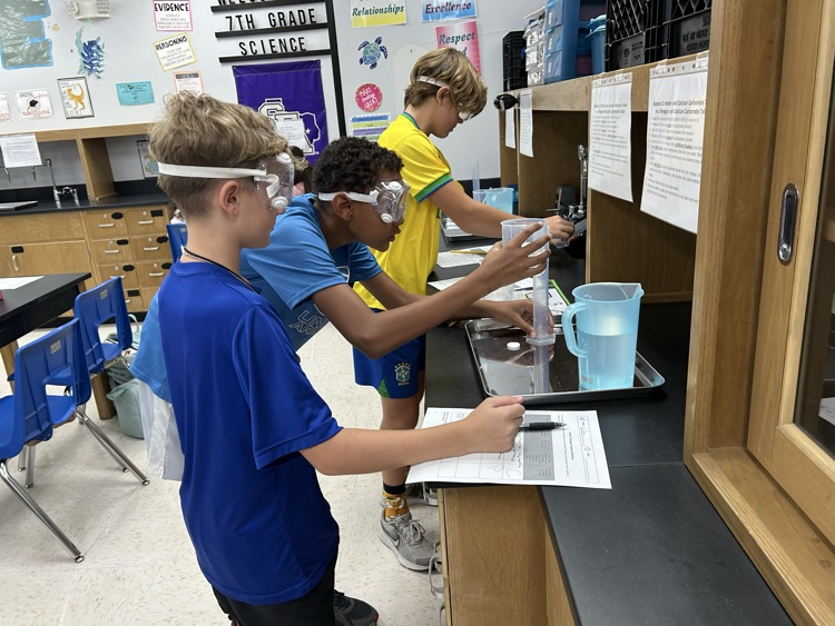 lab