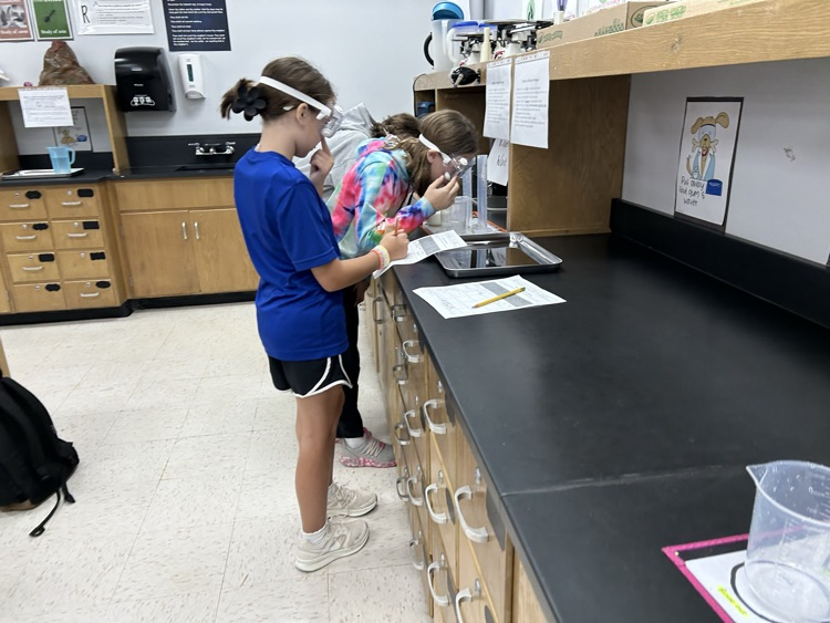 lab