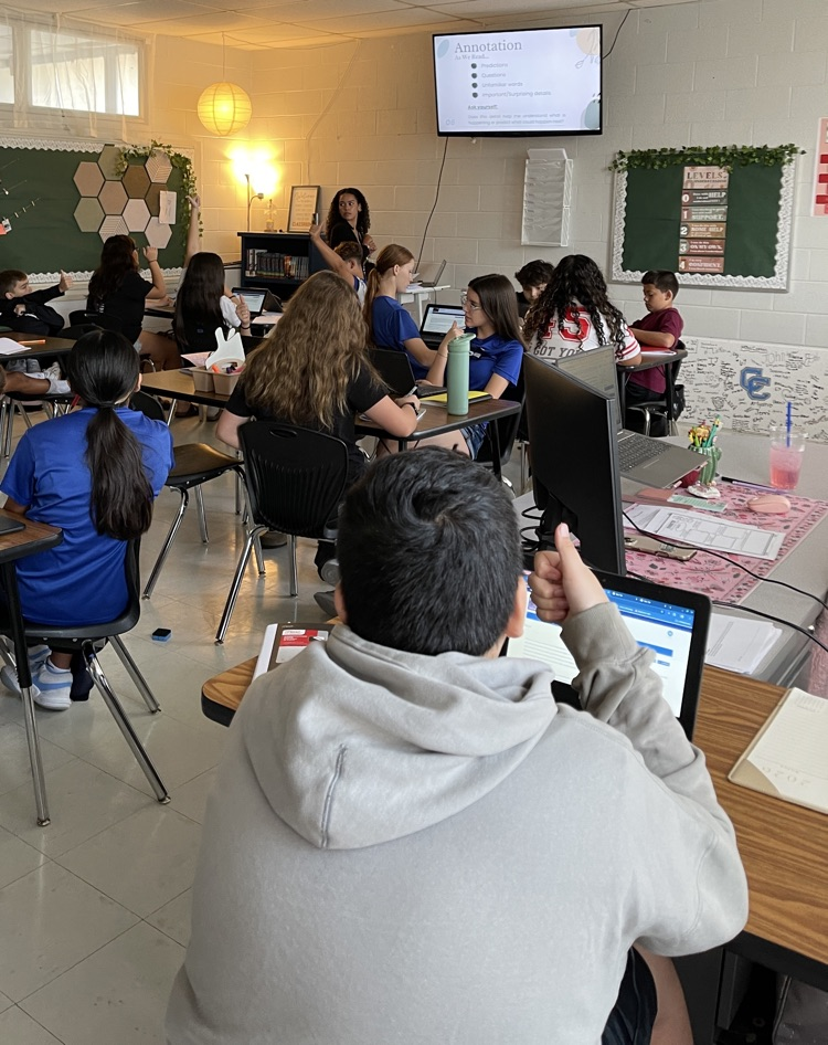 Reading class: engaging with annotation