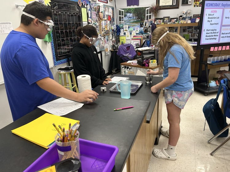 lab