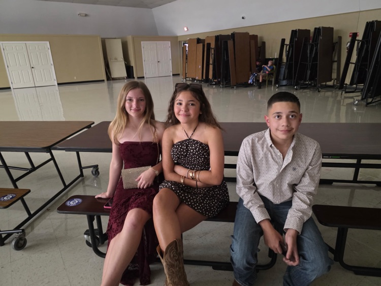 hoco 26
