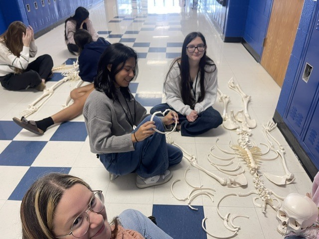 Anatomy