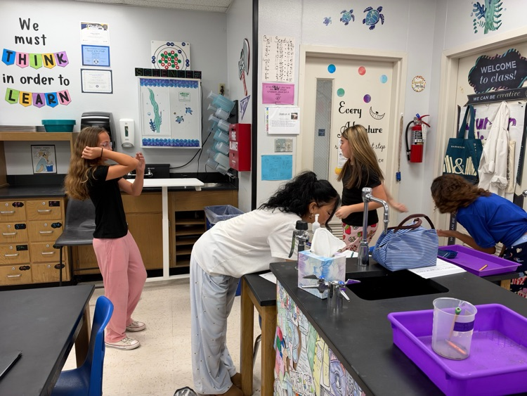 lab