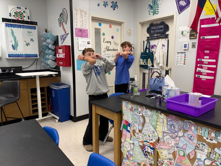 lab