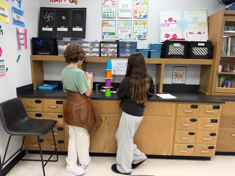lab