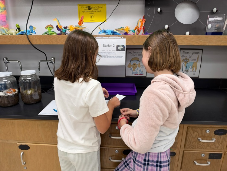 lab
