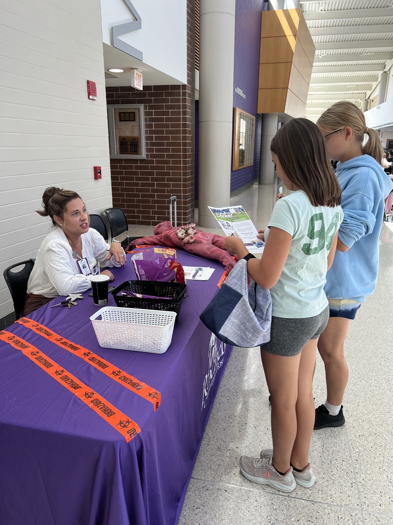 career quest