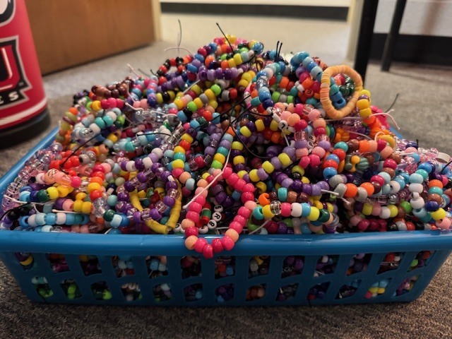 Bracelet delivery to Rochelle Elementary Schools. 