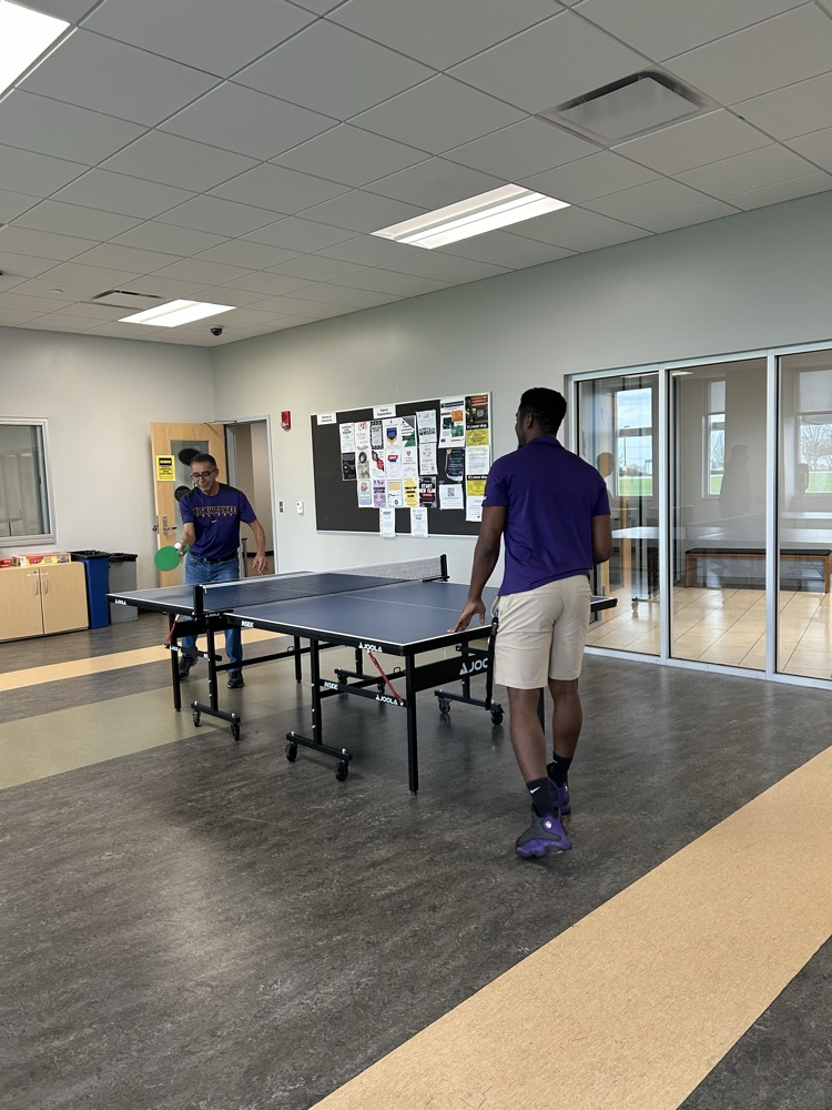 ping pong championship 