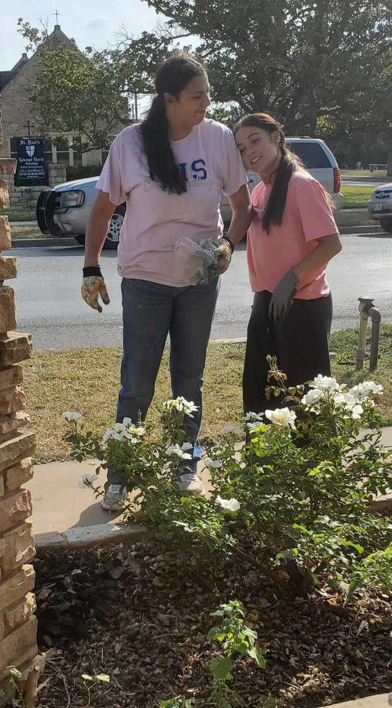 Rochelle Community Day