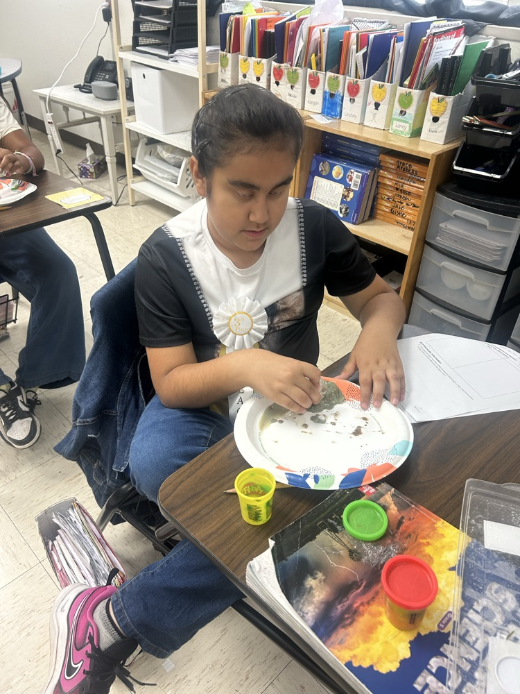 science investigation