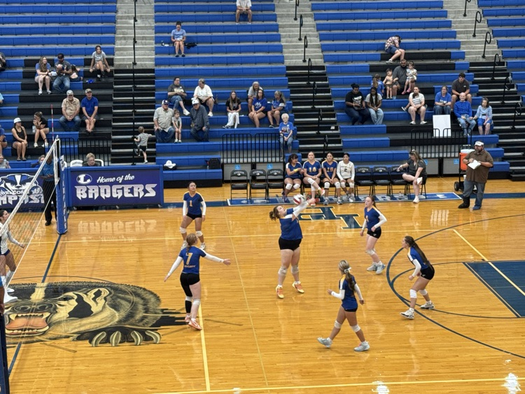 vb