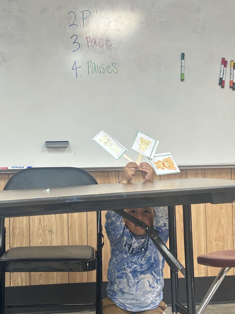 puppet show