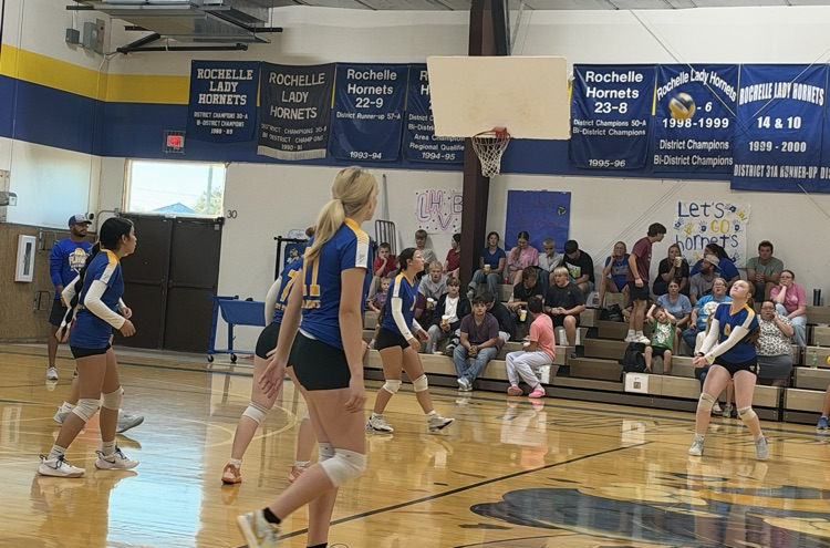 vb