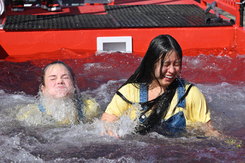 The other two minions are all smiles after jumping in.