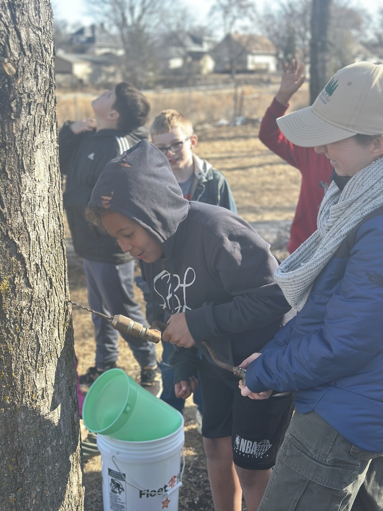 Student drilling into a tree with help from teacher.