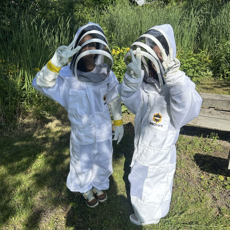 bees