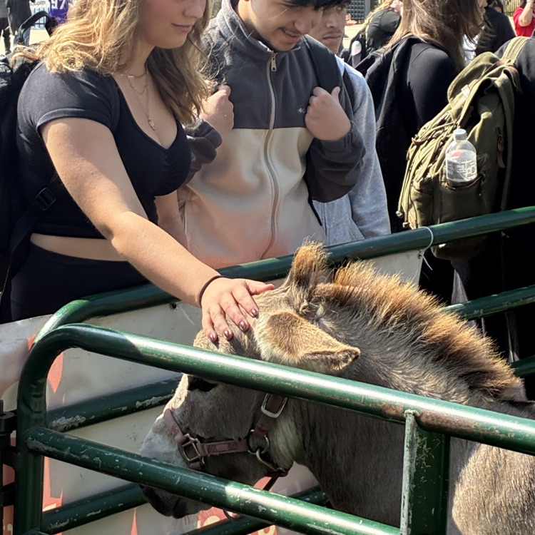 zoo