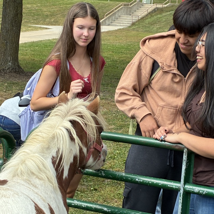 zoo