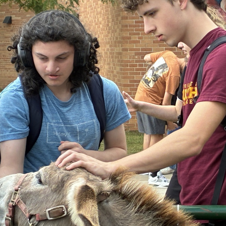 zoo
