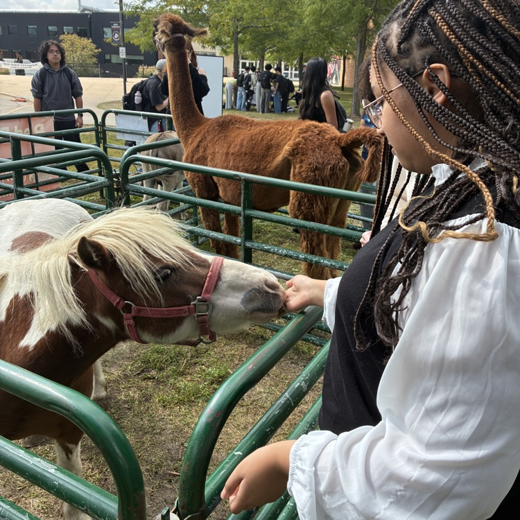 zoo