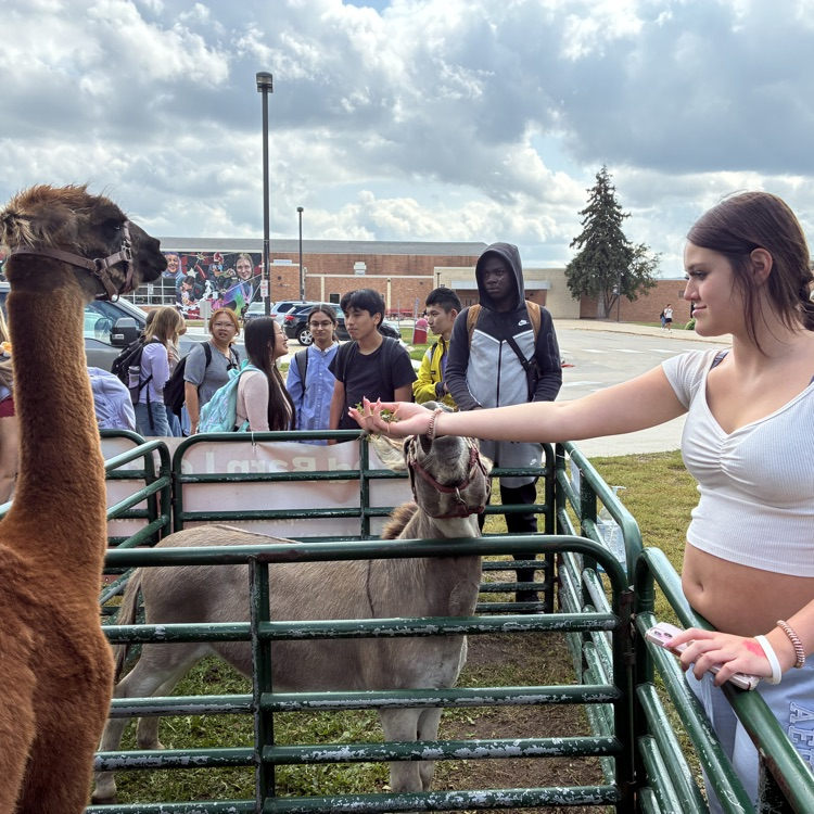 zoo