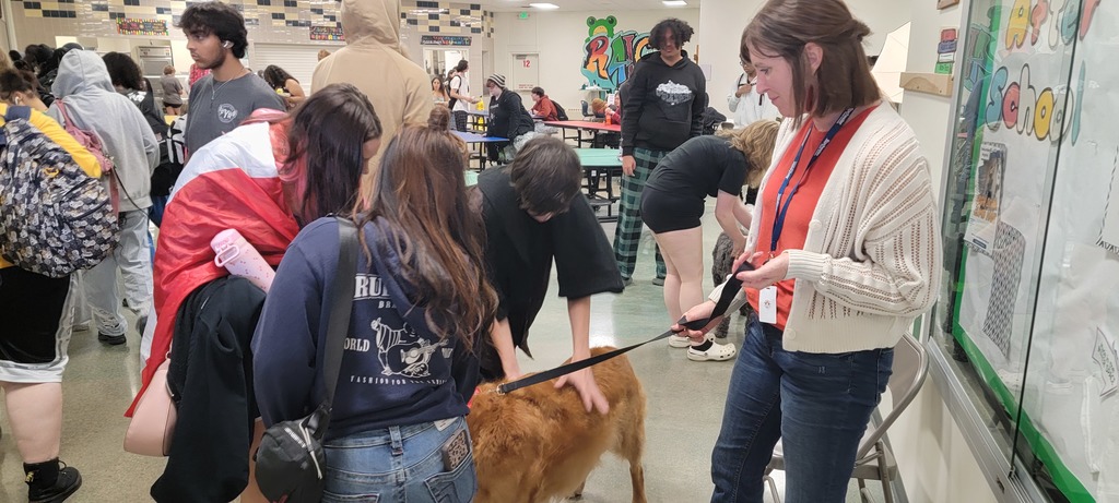 therapy dogs at the ALC